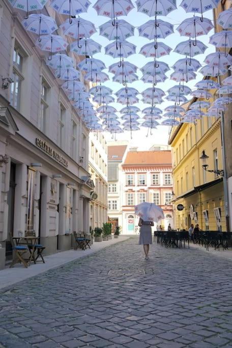 Diamond Residence In Old Town With Free Parking Μπρατισλάβα Εξωτερικό φωτογραφία