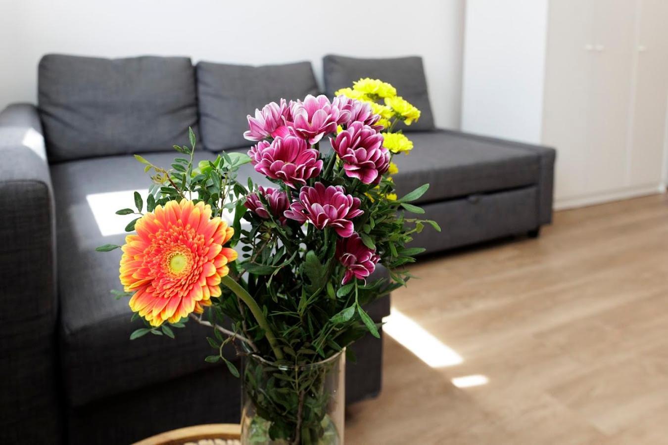 Diamond Residence In Old Town With Free Parking Μπρατισλάβα Εξωτερικό φωτογραφία